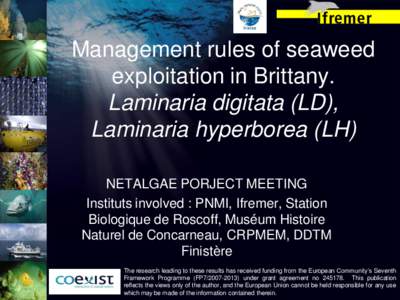 Management rules of seaweed exploitation in Brittany. Laminaria digitata (LD), Laminaria hyperborea (LH) NETALGAE PORJECT MEETING Instituts involved : PNMI, Ifremer, Station