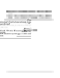 Regional Collaboration Issue Brief  New York State Energy Plan 2009 December 2009