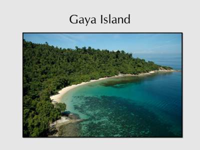 Gaya Island  The Villas The Villas