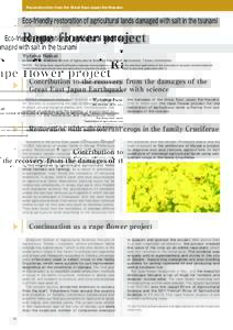 Reconstruction from the Great East Japan Earthquake  Eco-friendly restoration of agricultural lands damaged with salt in the tsunami Rape flower project Yutaka Nakai
