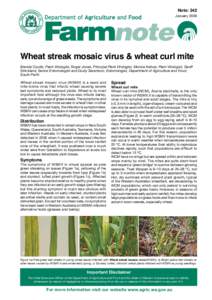 Potyviridae / Crops / Wheat / Viruses / Food and drink / Microbiology / Biology