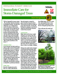 N E B R A S K A F O R E S T S E RV I C E  Immediate Care for Storm-Damaged Trees Storm Damage Series