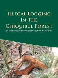 Illegal Logging In The Chiquibul Forest An Economic and Ecological Valuation Assessment  Mitigating and Controlling Illegal Logging in