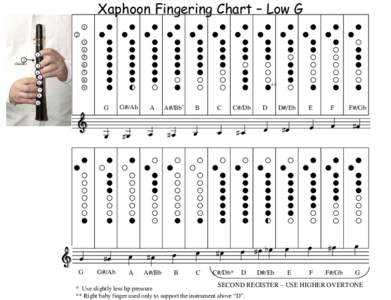 Microsoft PowerPoint - Fingering Chart Low G.ppt