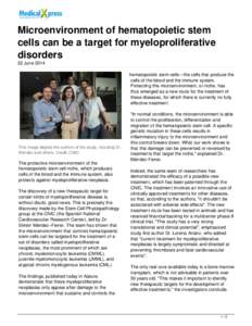 Microenvironment of hematopoietic stem cells can be a target for myeloproliferative disorders
