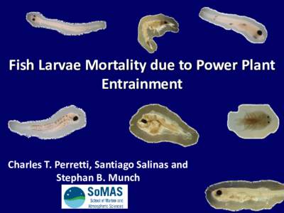 Fish Larvae Mortality due to Power Plant Entrainment Charles T. Perretti, Santiago Salinas and Stephan B. Munch