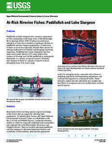 Upper Midwest Environmental Sciences Center, La Crosse, Wisconsin  At-Risk Riverine Fishes: Paddlefish and Lake Sturgeon