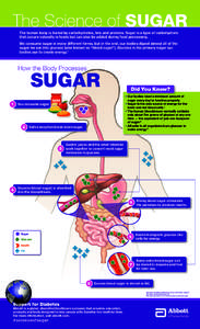 The Science of SUGAR The human body is fueled by carbohydrates, fats and proteins. Sugar is a type of carbohydrate that occurs naturally in foods but can also be added during food processing. We consume sugar in many dif