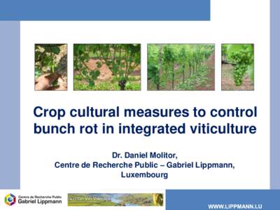 Crop cultural measures to control bunch rot in integrated viticulture Dr. Daniel Molitor, Centre de Recherche Public – Gabriel Lippmann, Luxembourg