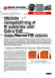 Application Note  Ultimate nanopatterning of Si substrate with Cobra ExB