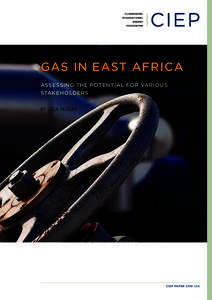 gas in east afriCa assessing the Potential for Various stakeholders BY Luca Franza  CieP PaPer 2013 | 05
