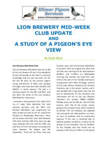 LION BREWERY MID-WEEK CLUB UPDATE AND A STUDY OF A PIGEON’S EYE VIEW