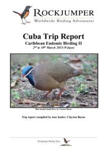 RBT Cuba II Trip ReportCuba Trip Report Caribbean Endemic Birding II 2nd to 10th Marchdays)