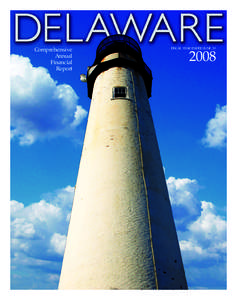 delaware_cover_dividers v7:Layout 1  Comprehensive Annual Financial Report
