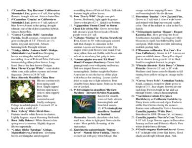 Eudicots / Rosids / Flora / Ceanothus / Flora of North America / Rhamnaceae / Ornamental trees / Flora of Kakadu National Park / Heucherella
