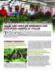 Texas A&M AgriLife Research and Extension Center at Uvalde T  he Uvalde Center, established in 1972, serves the Texas Wintergarden region, known for its rechargeable water sources