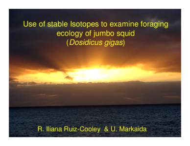 Use of stable Isotopes to examine foraging ecology of jumbo squid (Dosidicus gigas) R. Iliana Ruiz-Cooley & U. Markaida