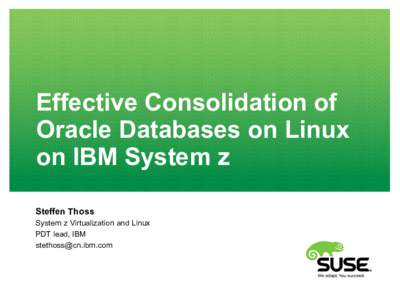 Effective Consolidation of Oracle Databases on Linux on IBM System z Steffen Thoss System z Virtualization and Linux PDT lead, IBM