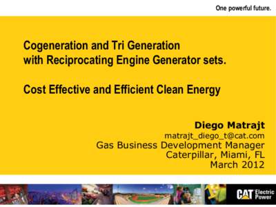 One powerful future.  Cogeneration and Tri Generation with Reciprocating Engine Generator sets. Cost Effective and Efficient Clean Energy Diego Matrajt