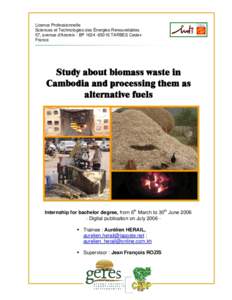 Microsoft Word - biomass valorization in Cambodia-Hérail-english.doc