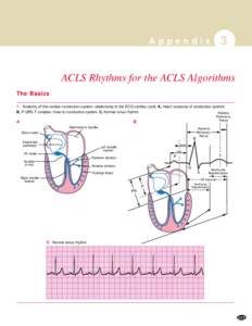 Appendix  3 ACLS Rhythms for the ACLS Algorithms The Basics