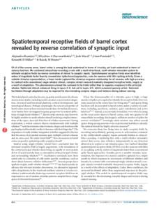 a r t ic l e s  Spatiotemporal receptive fields of barrel cortex revealed by reverse correlation of synaptic input  npg