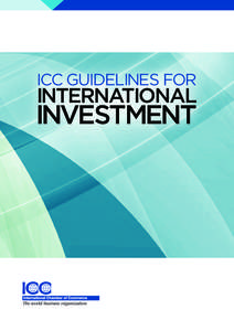 ICC GUIDELINES FOR  INTERNATIONAL INVESTMENT