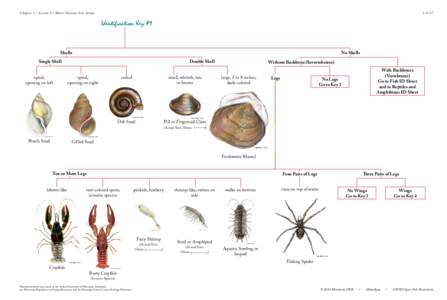 MinnAqua Fishing: Get in the Habitat! Lesson 1:4 - Macroinvertebrate Keys