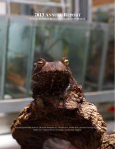 2013 ANNUAL REPORT PANAMA AMPHIBIAN RESCUE AND CONSERVATION PROJECT A project partnership between: Cheyenne Mountain Zoo, Houston Zoo, Smithsonian’s National Zoological Park, Smithsonian Tropical Research Institute, an
