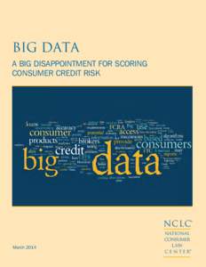 BIG DATA A BIG DISAPPOINTMENT FOR SCORING CONSUMER CREDIT RISK NCLC® March 2014
