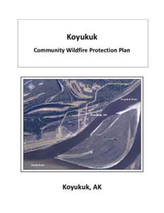 Koyukuk Community Wildfire Protection Plan Koyukuk, AK  Table of Contents