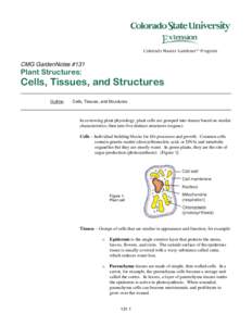 CMG GardenNotes #131  Plant Structures: Cells, Tissues, and Structures Outline: