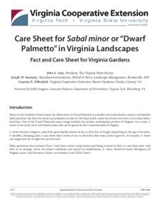 Care Sheet for Sabal minor or “Dwarf Palmetto” in Virginia Landscapes Fact and Care Sheet for Virginia Gardens John A. Saia, President, The Virginia Palm Society Joseph W. Seamone, Maryland horticulturist, McFall & B