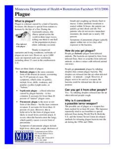 Plague Fact Sheet - Minnesota Dept. of Health