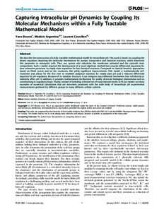 Capturing Intracellular pH Dynamics by Coupling Its Molecular Mechanisms within a Fully Tractable Mathematical Model Yann Bouret1, Me´de´ric Argentina2,3, Laurent Counillon4* 1 Universite´ Nice Sophia Antipolis, CNRS,