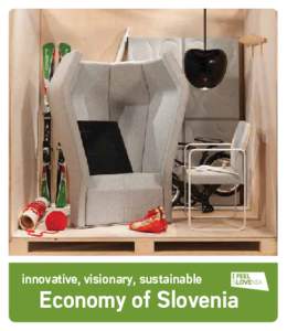 innovative, visionary, sustainable  Economy of Slovenia Photo: Pipistrel
