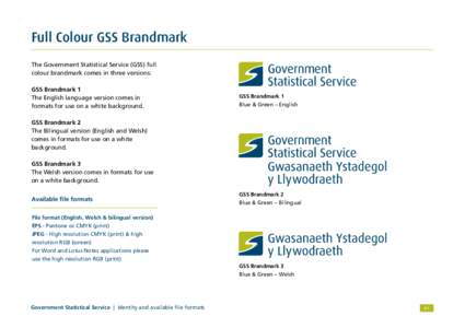 Full Colour GSS Brandmark The Government Statistical Service (GSS) full colour brandmark comes in three versions: GSS Brandmark 1 The English language version comes in formats for use on a white background.