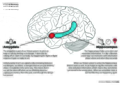 PTSD & Memory  Amygdala The amygdala is part of our ‘threat system’. Its job is to keep us safe by alerting us to danger. It does this by setting off an alarm in our body: by triggering the ‘fight or flight’