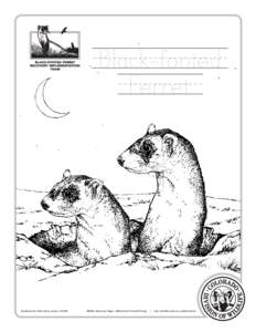 Illustration by Helen Zane Jensen, © 2009  Wildlife Discovery Page —Black-footed Ferret/Primary •