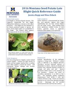 Biology / Botany / Mycology / Eudicots / Alternaria / Alternaria solani / Phytophthora infestans / Fungicide / Mancozeb / Blight / Potato / Fungicide use in the United States