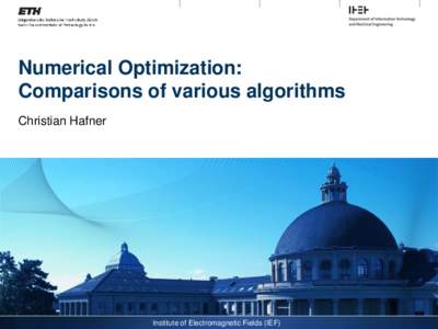 Numerical Optimization: Comparisons of various algorithms Christian Hafner Institute of Electromagnetic Fields (IEF)