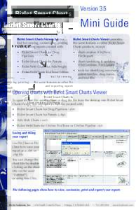 Version 3.5  BizInt Smart Charts Mini Guide