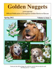 Golden Nuggets www.egrr.net Official Publication of Evergreen Golden Retriever Rescue SpringVolume 6, Issue 1