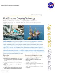 Microsoft Word - White Pager _ Fluid Structure Coupling Damper Technology_Public.doc