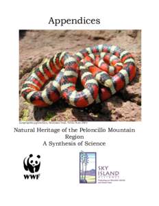 Appendices  Lampropeltis pyromelana, Geronimo Trail, Trevor Hare 2004 Natural Heritage of the Peloncillo Mountain Region