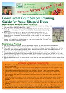 Grow Great Fruit Simple Pruning Guide for Vase-Shaped Trees Establishment Pruning (When Planting):  1.	 Prune limbs to an outward facing bud at knee height. If there is only one limb, prune