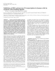 Proc. Natl. Acad. Sci. USA Vol. 95, pp[removed]–12895, October 1998 Biochemistry Inhibition of RNA polymerase II transcription in human cells by synthetic DNA-binding ligands