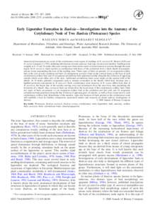 Annals of Botany 86: 575±587, 2000 doi:anbo, available online at http://www.idealibrary.com on Early Lignotuber Formation in BanksiaÐInvestigations into the Anatomy of the Cotyledonary Node of Two Ban