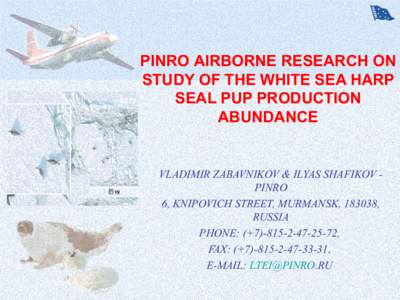 PINRO AIRBORNE RESEARCH ON STUDY OF THE WHITE SEA HARP SEAL PUP PRODUCTION ABUNDANCE  VLADIMIR ZABAVNIKOV & ILYAS SHAFIKOV PINRO