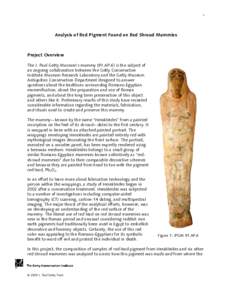 Analysis of Red Pigment Found on Red Shroud Mummies